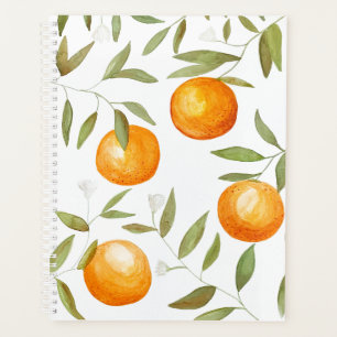 Planificateur Orange Grove