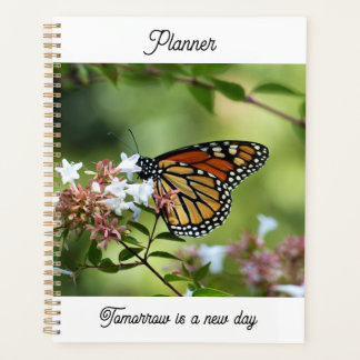 Planificateur Papillon Monarque