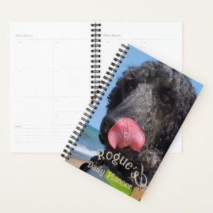 Planificateur quotidien à thème animal de compagni