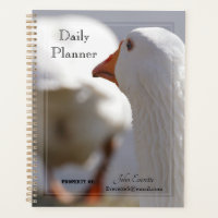 Planificateur quotidien - Canard suivant un canard