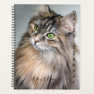 Planificateur quotidien - Chat himalayen - HAMbWG