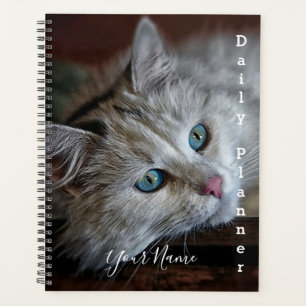 Planificateur quotidien - Chat himalayen - HAMbWG