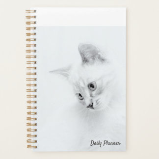 Planificateur quotidien de chats