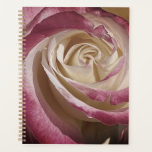 Planificateur Rose instantané