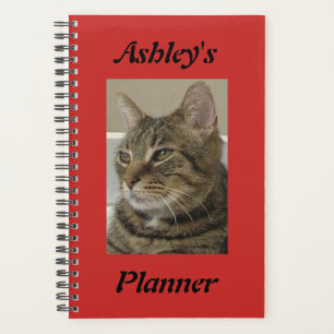 Planificateur Tabby Cat Personnalisé