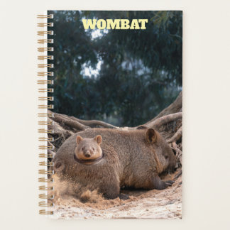 Planificateur Wombat 2027
