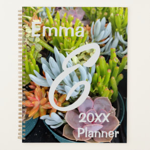 Planner, farbenfrohe, schokulare Pflanze Planer