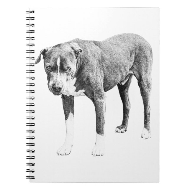 Plans d'hiver Pit Bull Carnet (Devant)