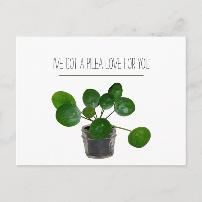 Plant Pun Pilea Funny Postcard Valentine Feiertagspostkarte (Vorderseite)