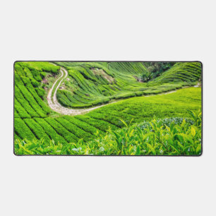 Plantation de thé des Cameron Highlands
