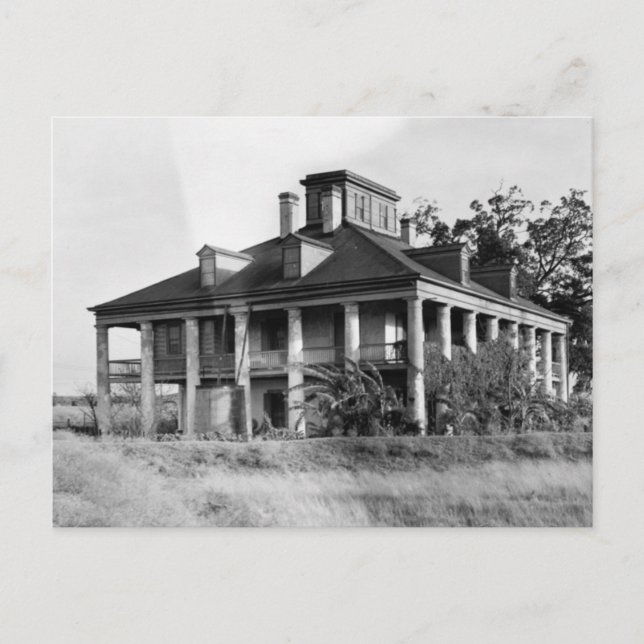 Plantation Seven Oaks, carte postale de Westwego L (Devant)