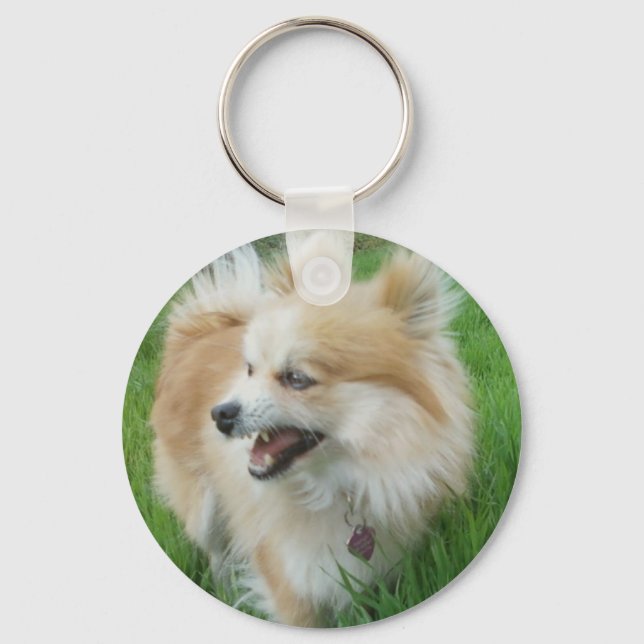 PLANTDOG SCHLÜSSELANHÄNGER (Vorderseite)