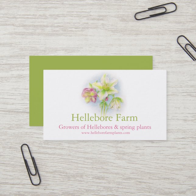 Plante de ferme Hellebore fournisseurs carte de vi (Devant/Arrière en situation)