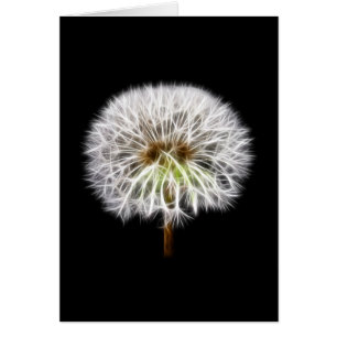 Plante de fleurs de pissenlit blanc