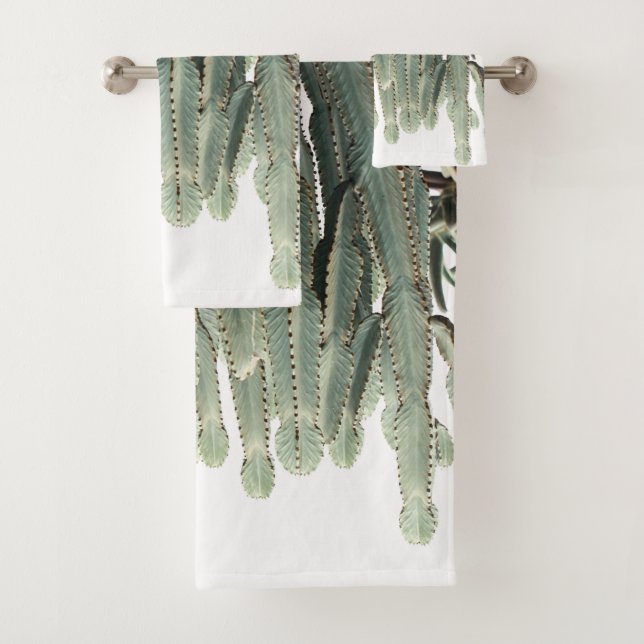 Plante de Pale Green Cactus (En situation)