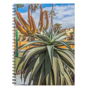 Plante de Vera d'aloès et carnet de fleurs