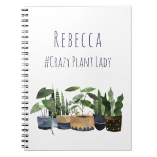 Plante fou Lady Pot Plante  Carnet Jardin de Cactu