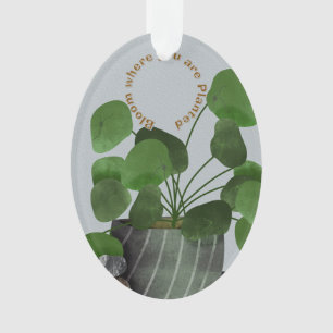 Plante Monétaire Minimaliste - Ornement Ovale en A