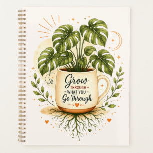 Plante Monstera dans une tasse à café   Botanique 