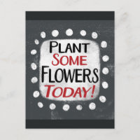 Plante Quelques Fleurs Aujourd'Hui Carte postale