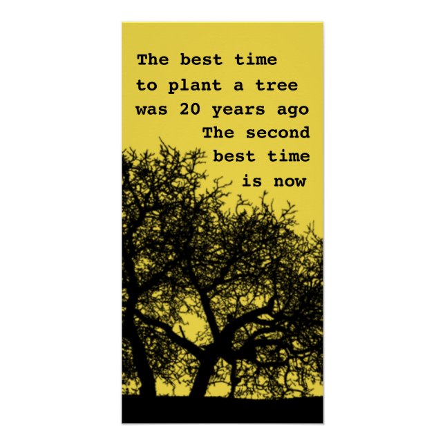 Plante un arbre, il n'est pas trop tard poster (Devant)