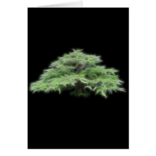 Plante verte d'arbre de bonsaïs