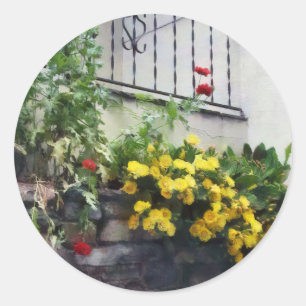 Planter mit gelben blühenden Kakteen Runder Aufkleber