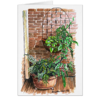 Plantes dans des baquets