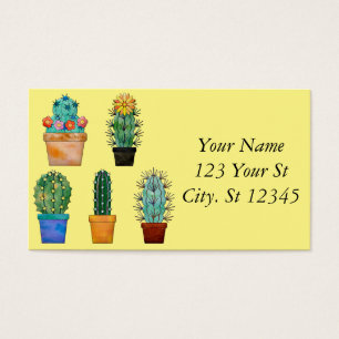 Plantes de Cactus assortés Thunder_Cove