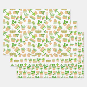 Plantes de la Maison Cactus sur les feuilles de pa
