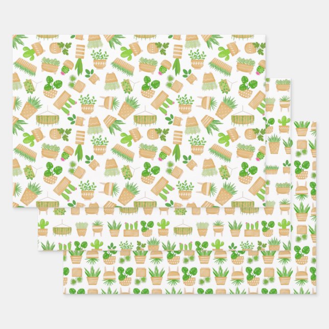 Plantes de la Maison Cactus sur les feuilles de pa (Lot)