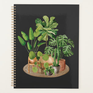 Plantes d'intérieur à l'aquarelle