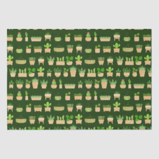Plantes d'intérieur Cactus sur papier de soie vert