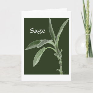 Plantes magiques - carte sage