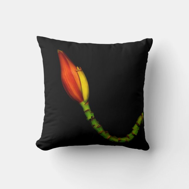 Plantes sur des coussins - fleur rouge de banane (Recto)