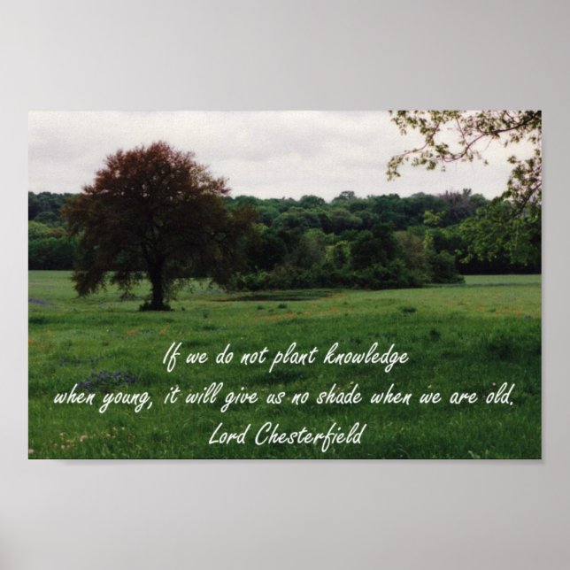 Planting Knowledge Print Poster (Vorne)