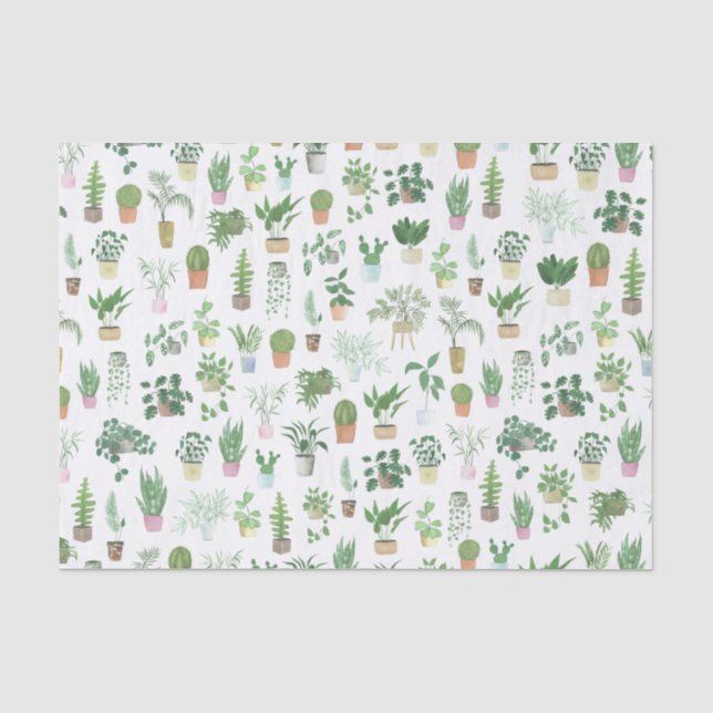 Plantita House Pflanze und Pots Muster Seidenpapier (Vorderseite)