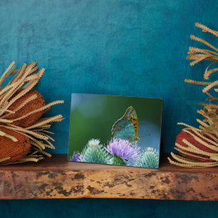 Plaque à papillon Art déco