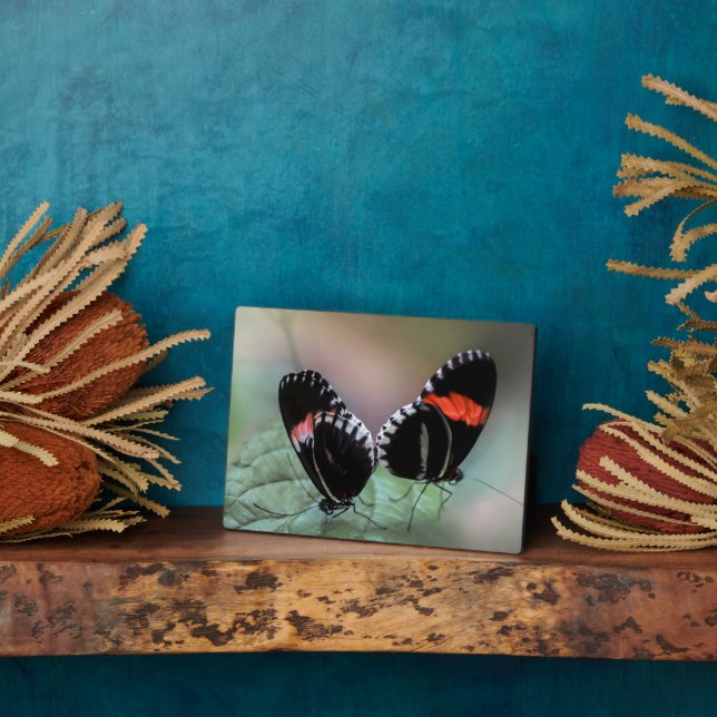 Plaque à papillon Art déco (Côté)
