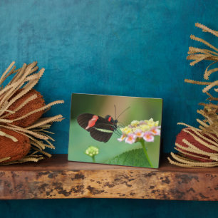 Plaque à papillon Art déco