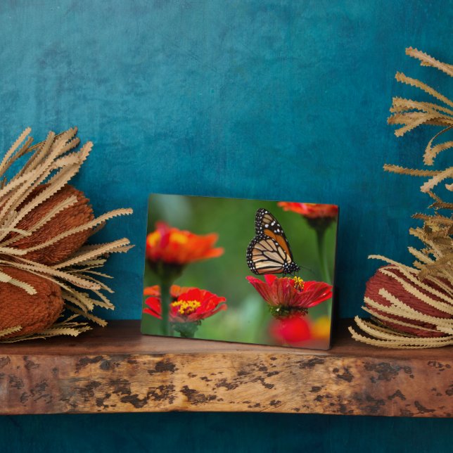 Plaque à papillon Art déco (Côté)