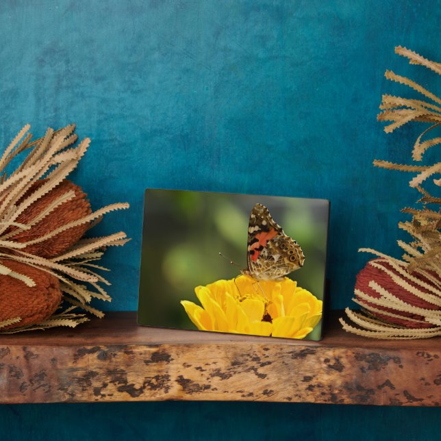 Plaque à papillon Art déco (Côté)