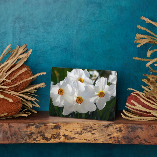 Plaque Art Décor (Côté)