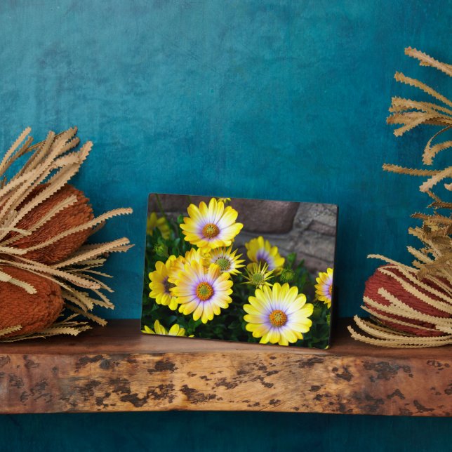 Plaque Art Décor (Côté)