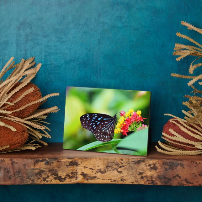 Plaque Art Décor Papillon (Côté)
