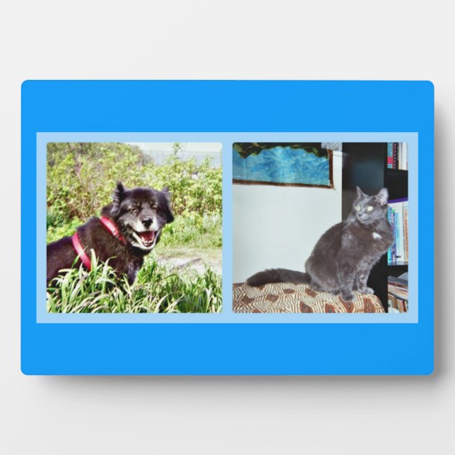 Plaque avec des images de animal (Devant)