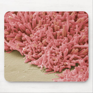 Plaque bildende Bakterien, farbiges Scannen Mousepad