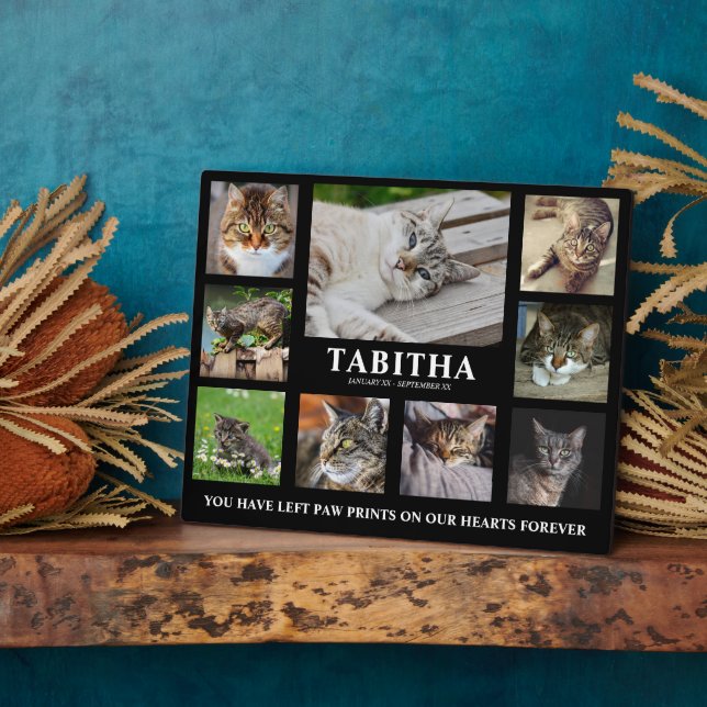 Plaque commémorative moderne pour chat en collage  (Côté)