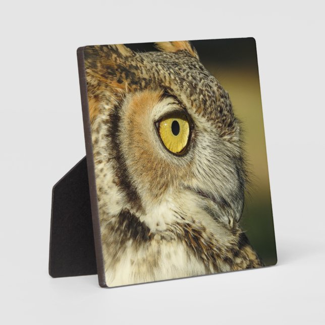 Plaque de bureau Great Horned Owl (Recto)