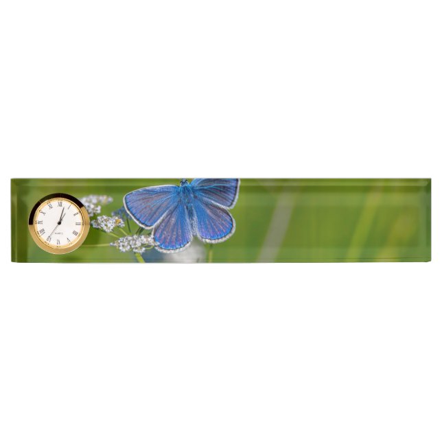 Plaque de nom du bureau (Devant)